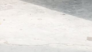 Cricket with Daughter's