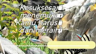 Capai kesuksesanmu