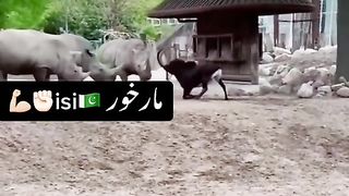 Pakstan zanda bad