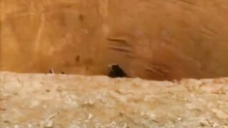 Funny video ????????????