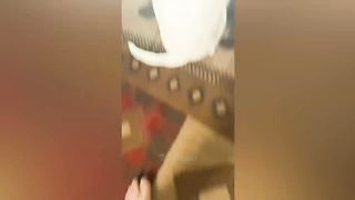 Funniest Animal Videos - Funny Cats & Dogs 2023