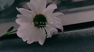 beautiful flower ????????????????