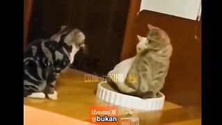 Lagi ngerumpi