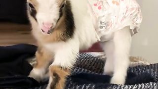 young kid nice video #video