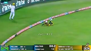 Funny cricket ????????