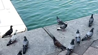 Dubai Beautifuld Place | Beauty Of Dubai |