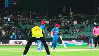 All fast quick bowler 140 plus