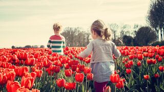 Why flowers kindergarten and plants important, how would be  our world without these...