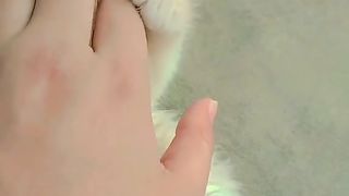 Beautiful cats❤