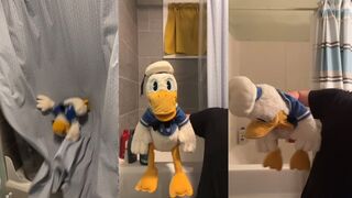 Donald-Duck-is-having-problems-shorts_66