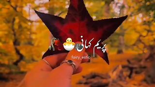 Songs 2