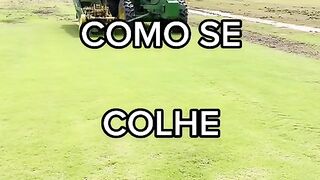 Trator de  como se colher gramas