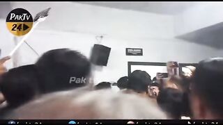 Vlogs 3