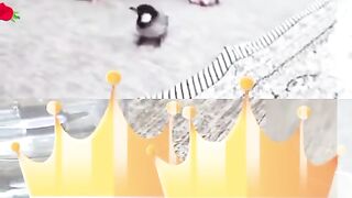 Funny and loving careing video