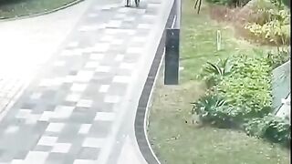 Very funny ???? video
