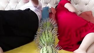 Funnyvideo2023best