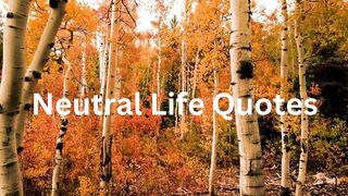 neutral life quotes