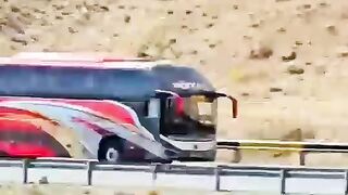 Beauty of world/pakistani Bus speed #pakistan #Bus/