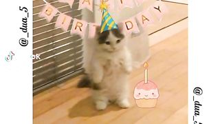 #birthday