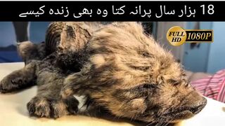 Information vedio