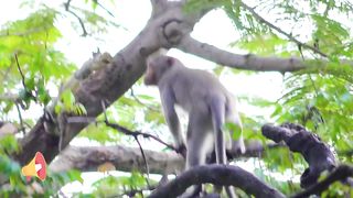 TRY NOT TO LAUGH ???? Best Funny Videos Compilation ???????????? PART 3 2