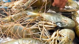 Biggest Prawns ka Biggest Matka Prawns Biryani...................????????