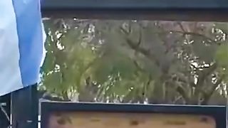 The birds are tearing the Israeli flag