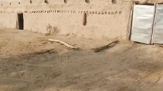 Village life 2