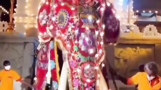 නැදුන්ගමුවේ රාජා හස්තියා |Ndungamuwa King Elephant