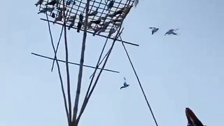 New video ???? 2
