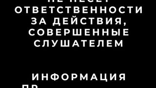 Punk Panda - пользуйся и получай токены. Punk Panda обзор проекта