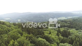 Natural beauty 3