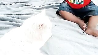Baby playing with cat short