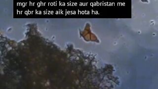 Islam is life