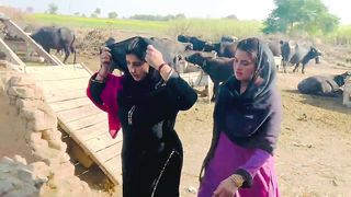 Moto Aaj Kya Karne Wali Hai Iss Bechare Ke Sath