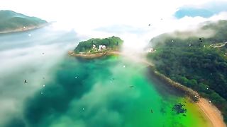 Birds Flying Relaxing Music Sleep & Meditation Music, Yoga, Study, Deep Sleep