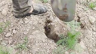 МАЛКИ ХИТРОСТИ В ГРАДИНАТА