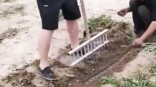 МАЛКИ ГРАДИНСКИ ХИТРОСТИ