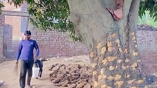 Tik tok vedio 8
