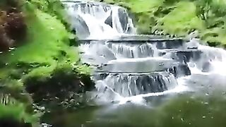 Recite 249