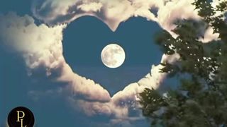 Best poetry |poetry status |urdu poetry