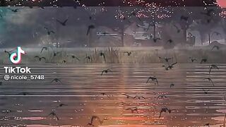 beautiful nature and sunset view