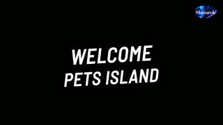 Funny Dog Gets Angry When It's Scared | Pets Island Video 2023
