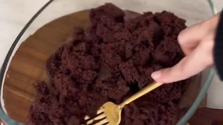 Delicious Chocolate Dessert
