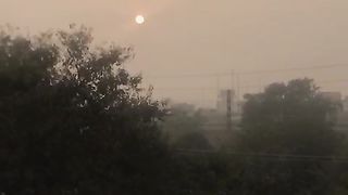 Beautiful mosam
