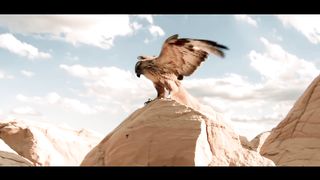 Raouf Maher - Moulet el Guerba | مولات الڤربة