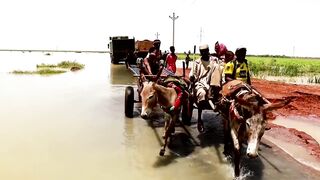 Flooding devastates rural area in Sudan