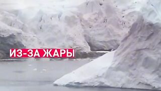 Прихадите Ислам! Come to Islam!☺️