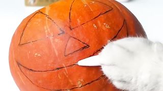 Halloween Surprise