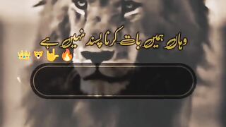 Lovely video 3